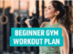 Workout Plan for Beginners Female at Home No Equipment